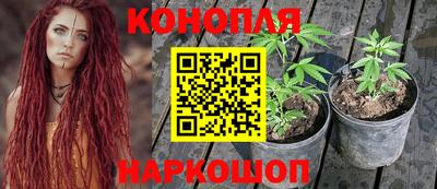 гашиш Малгобек