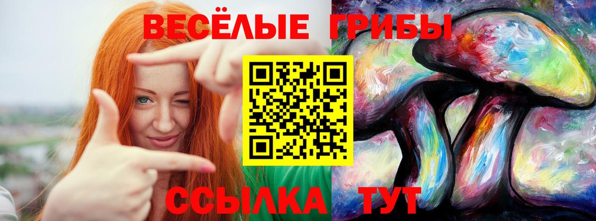 Галлюциногенные грибы ЛСД  Вход с VPN  Амурск 
